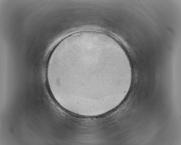 X0000111031504200908061424