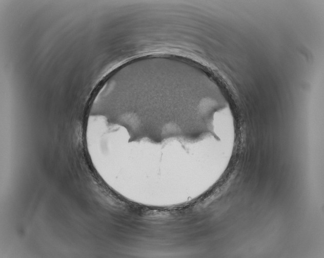 X0000111031505200908061424