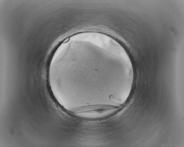 X0000111031506200908061424