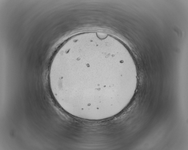 X0000111031507200908061424