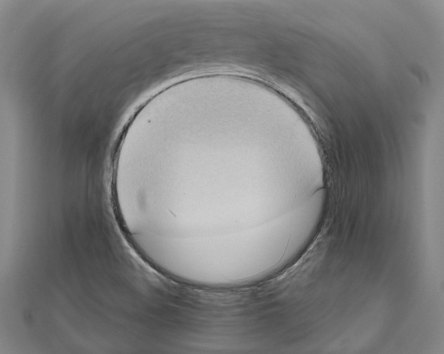 X0000111031508200908061424