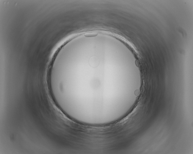 X0000111031510200908061424