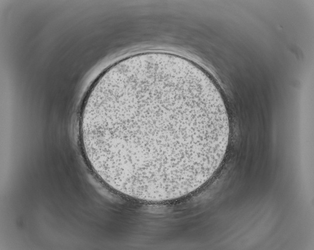 X0000111031511200908061425