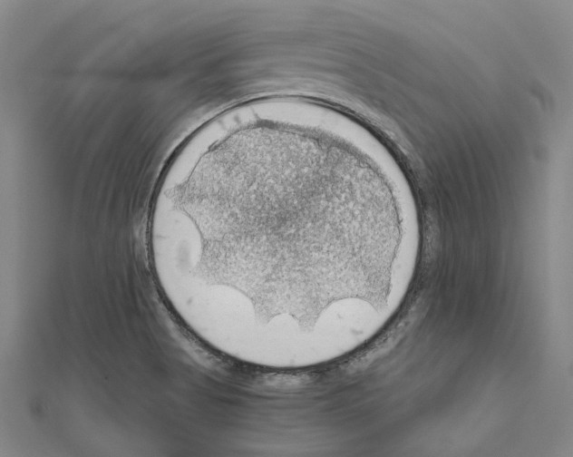 X0000111031513200908061425