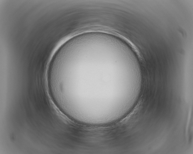 X0000111031514200908061425