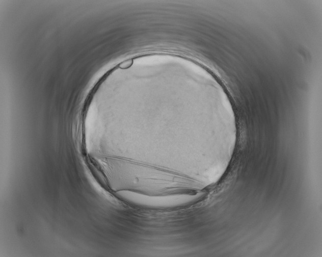 X0000111031515200908061425