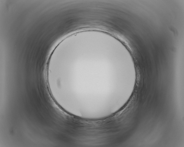 X0000111031516200908061425