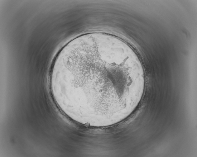 X0000111031517200908061425