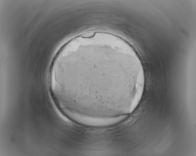 X0000111031519200908061425