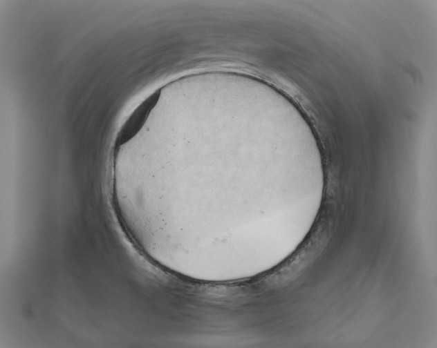 X0000111031520200908061425