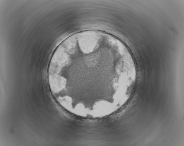 X0000111031521200908061425