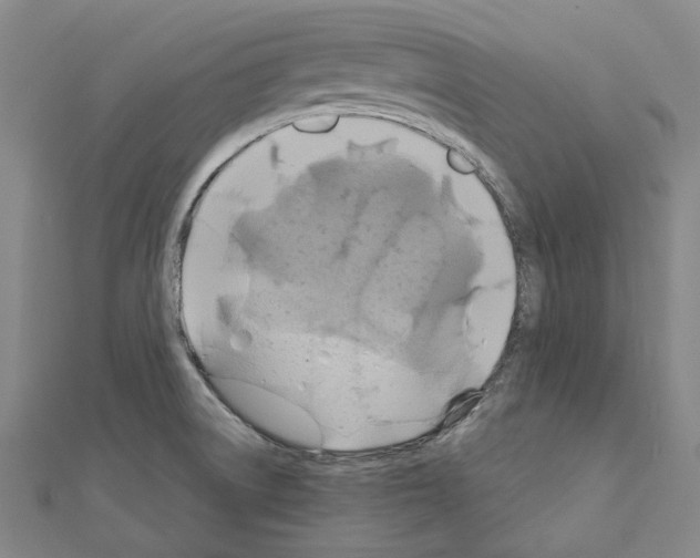 X0000111031522200908061425