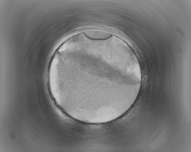 X0000111031523200908061425