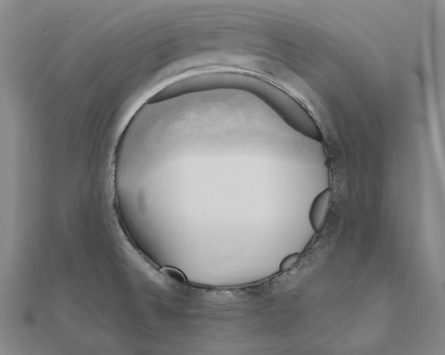 X0000111031524200908061425