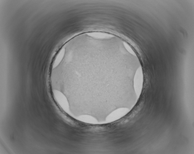 X0000111031525200908061425