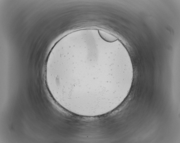 X0000111031526200908061425