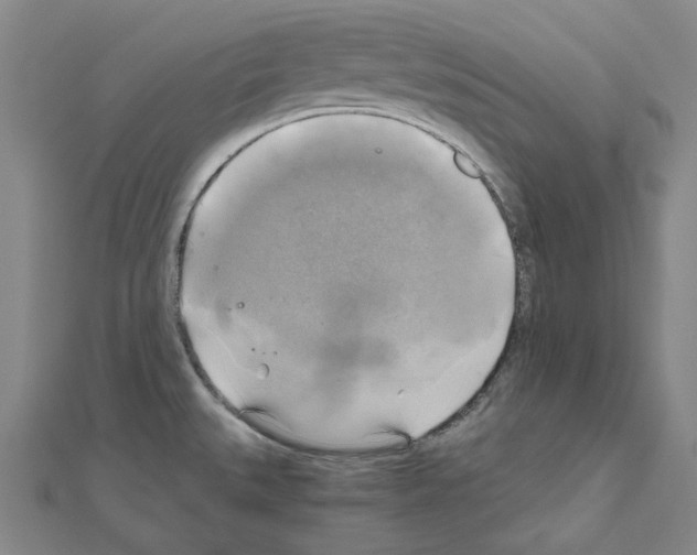 X0000111031527200908061425