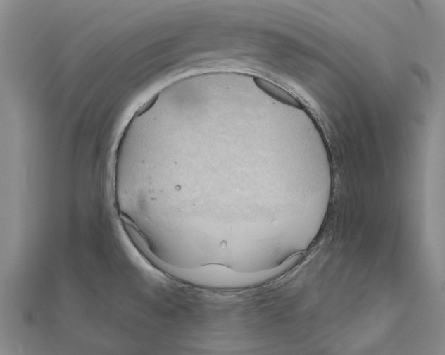 X0000111031528200908061425