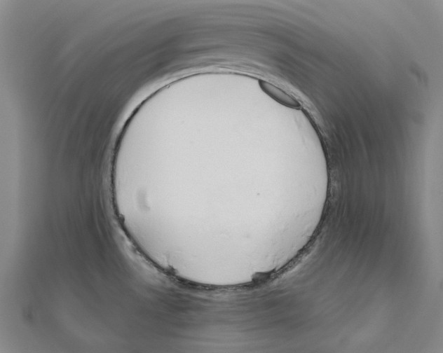 X0000111031530200908061425