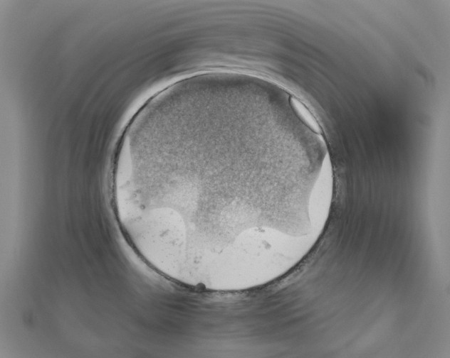 X0000111031531200908061425