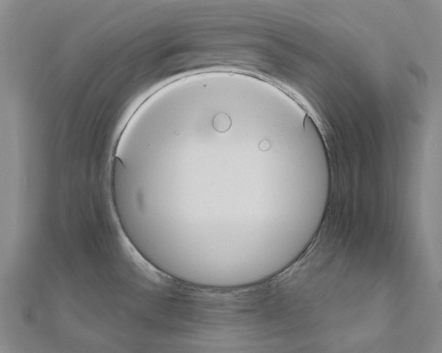 X0000111031532200908061425