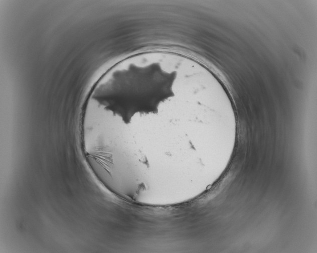 X0000111031533200908061425