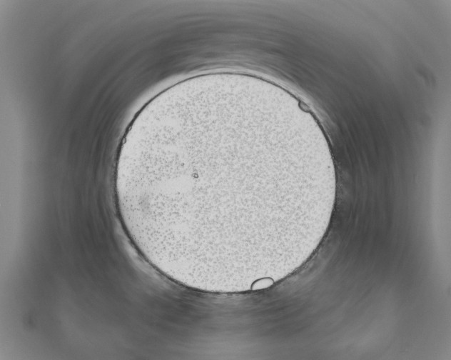 X0000111031534200908061425