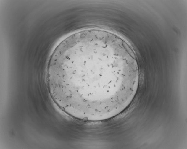 X0000111031535200908061425