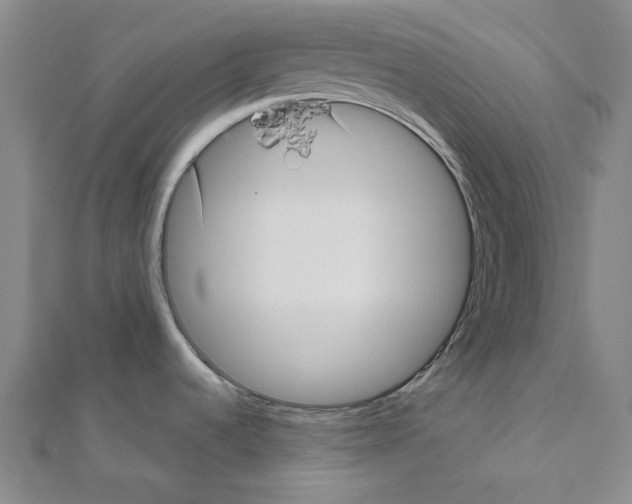 X0000111031536200908061425