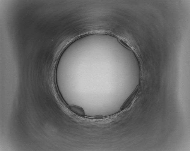 X0000111040001200906251147