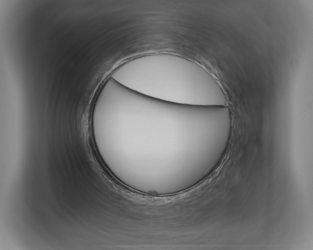 X0000111040002200906251147