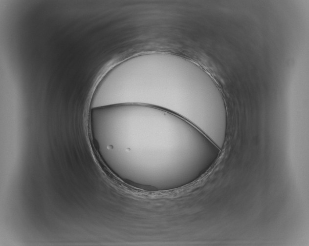 X0000111040003200906251147