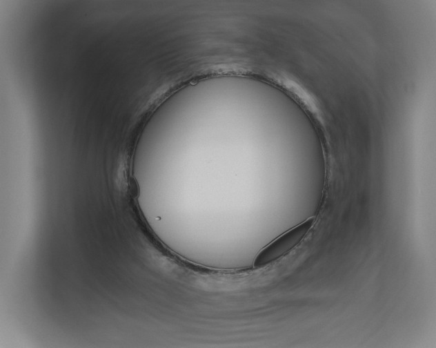 X0000111040009200906251147