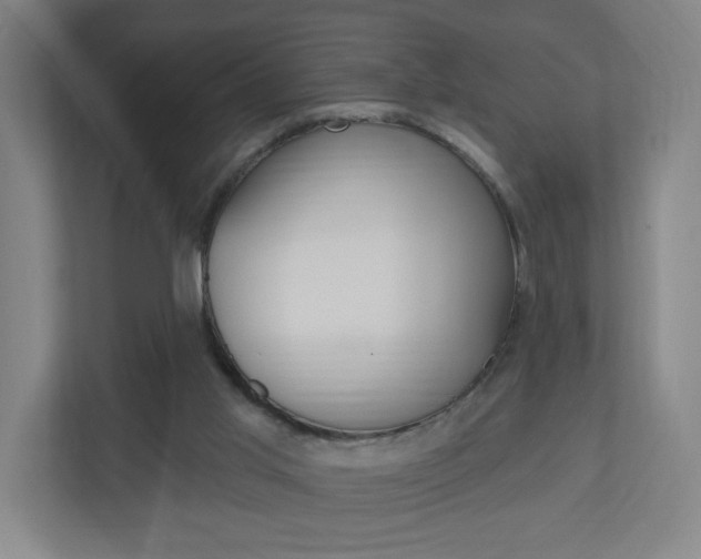 X0000111040013200906251147