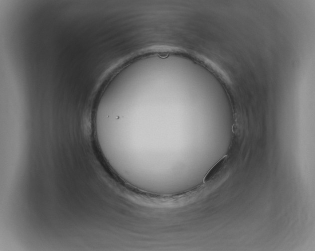 X0000111040015200906251147