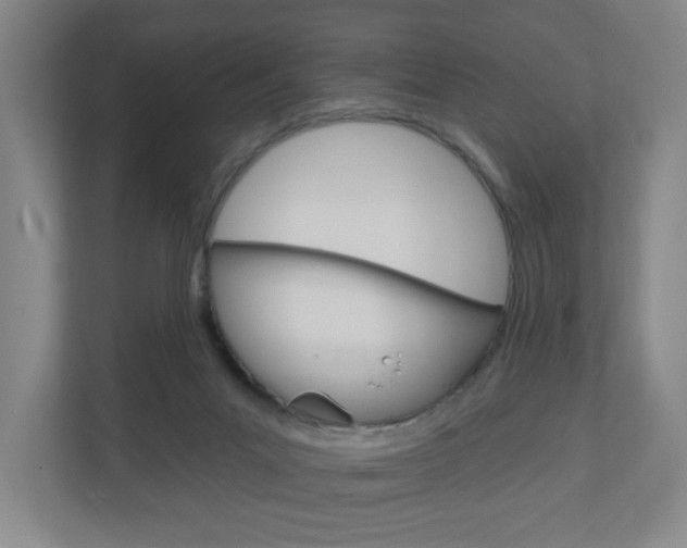 X0000111040023200906251147