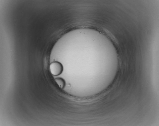 X0000111040026200906251147