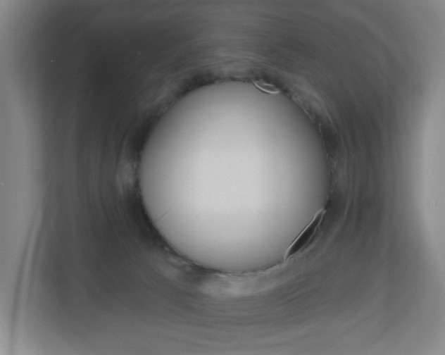 X0000111040033200906251146