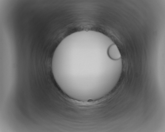 X0000111040034200906251146