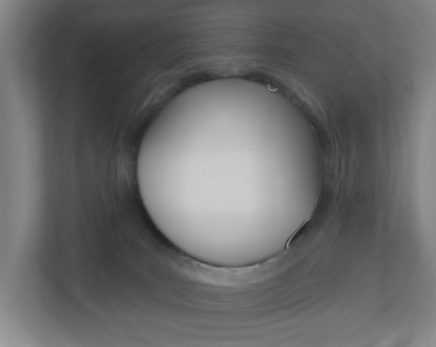 X0000111040035200906251146