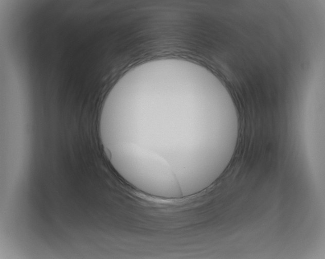 X0000111040039200906251146
