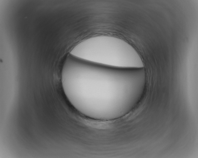 X0000111040040200906251146