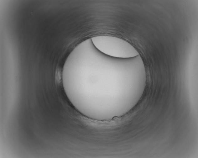 X0000111040042200906251146