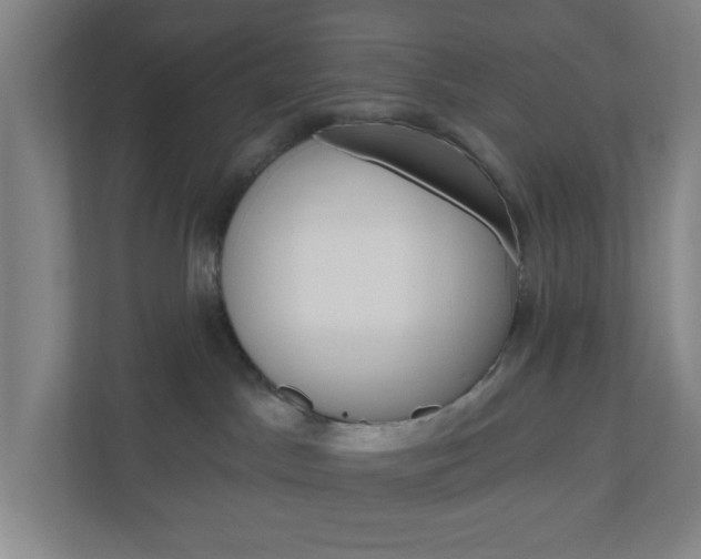 X0000111040045200906251146
