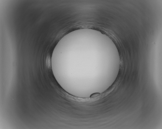 X0000111040046200906251146