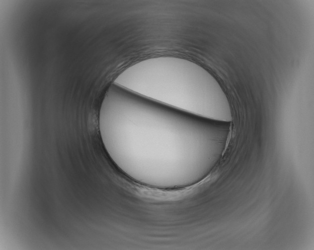 X0000111040048200906251146