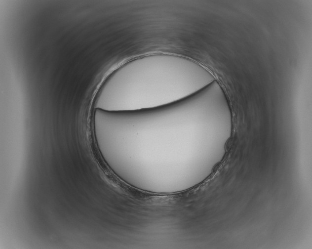 X0000111040050200906251146