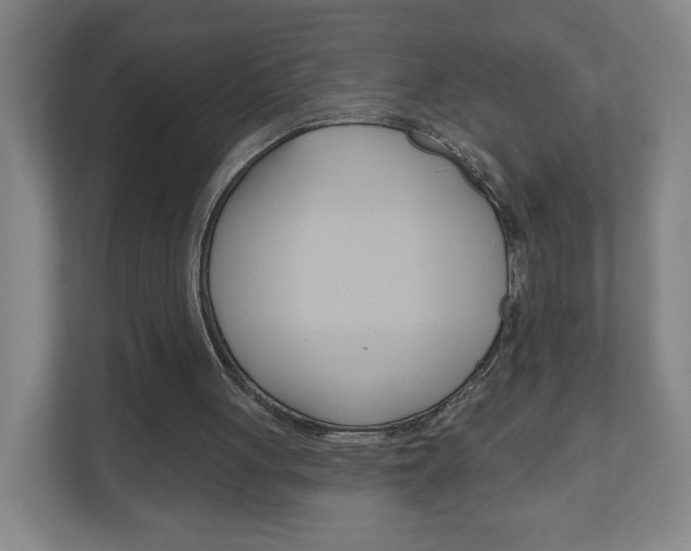 X0000111040051200906251146