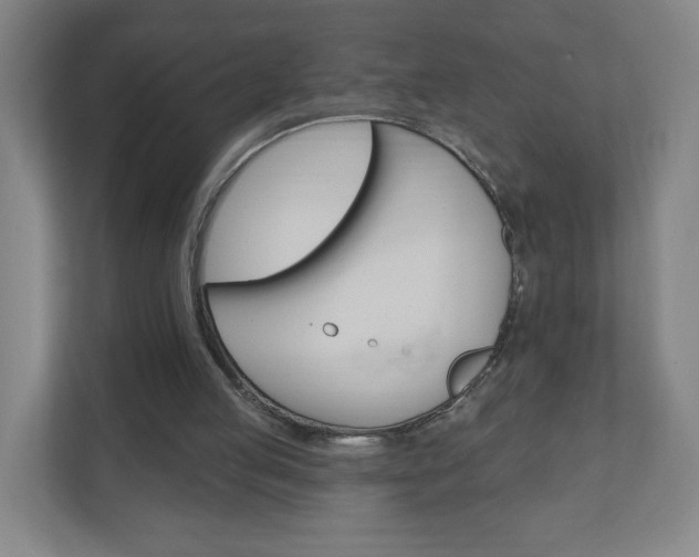 X0000111040053200906251146