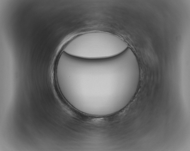X0000111040054200906251146
